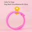 Summer Flea Cleaning Tool Adjustable Anti Flea Cat Collar Neck Strap Anti Mite Louse Cootie Pet Collar Cat Supplies