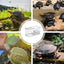 Turtle Tank Reptile Tank with Basking Platform Aquatic Tortoise Aquarium Reptile Habitat Tortoise Aquarium Habitat  Turtle Carry