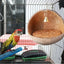 Coconut Bird Nest Bird Hideaway Parakeet Nest Bird House Hut Cage Coconut Shell Bird Nest Parakeet Nesting Box Parrot Home