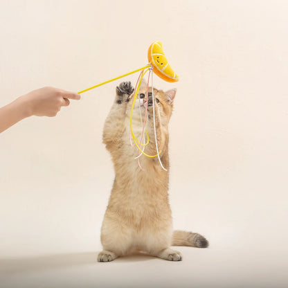 Cat Toy Cat Teaser Sticks Plastic Fruit Doll Cat Teaser Stick With Cat Mint Tassels Inside Self Hi Cat Toy