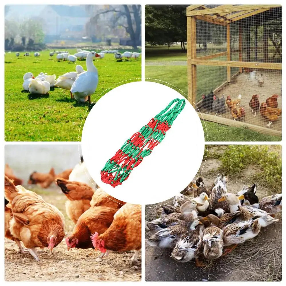 Chicken Vegetable Feeder Poultry Vegetable Feeder Hang Holder Chicken Feeder To Hang Chicken Treat Feeding Tool With Hook