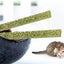 6pcs Natural Matatabi Cat Stick Mint Caught Bite Excited Rods Silvervine For Cat Teeth Cleaning Treating Pet Supply Cat Toys
