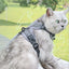 Dog Harness for Big Dog Vest Fashion Chest Strap Reflective and Breathable Cat Walking Rope Dog Rope Cat Harness