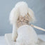 2023New Dog Harness Elegant Comfortable Breathable Pet Dress Collar For Small Dogs Fashion Lovers Vest Dog Harness and Leash Set