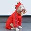 Frog Dinosaur Shape Dog Raincoat Costume for Medium and Large Dogs Waterproof Pet Jumpsuit Clothes Dog Rain Jacket for Labrador