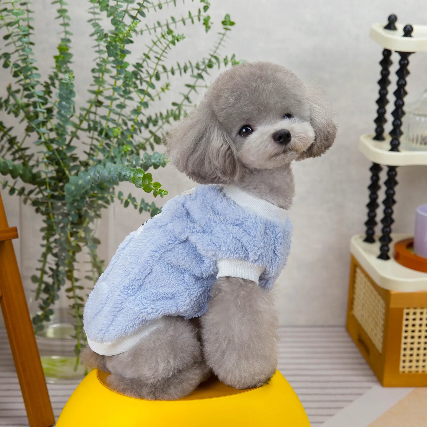 Thermal Fleece Dog Vest 2024 Winter Puppy Clothes for Small Dogs, Heart Pattern Dog Pullover Shirt Chiwawa Yorkie Pet Apparel