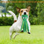 Squeaky Dog Toy Octopus Toy for Aggressive Chewers Tough No Stuffing Plush Crinkle Interactive Pet Toys for Puppy and Large Dogs