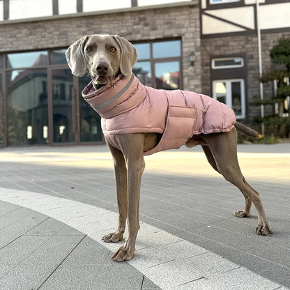 Italian Greyhound Hound Whippet Clothes Winter Turtleneck Dog Coat Thicken Padded Down Puffer Jacket for Medium Large Dogs