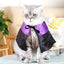 Pet Dog Cat Witch Hat Bandana Cosplay Prop Halloween Fancy Dress Costume Outfit Cat Costumes Photo Props Headwear
