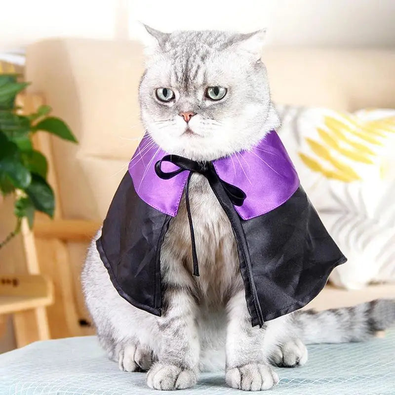 Pet Dog Cat Witch Hat Bandana Cosplay Prop Halloween Fancy Dress Costume Outfit Cat Costumes Photo Props Headwear