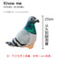 Simulation Pigeon Plush Toy Cartoon Birds Peace Dove Doll Doll Children Doll Gift Wholesale