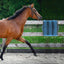 Grooming Brush for Horses Shedding Horse Brush Grooming Tool Itch Relief Grooming Brush Pet Hair Brush Cleaning Tools Cat Dog