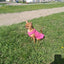Dog Fleece Vest Chihuahua Winter Clothing For Small Dogs Warm Dachshund Dog Coat For Medium Bulldog Pitbull Maltese Dogs Jumpers