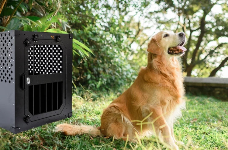 Dog Kennels Customized Size Raised Luxury Aluminum