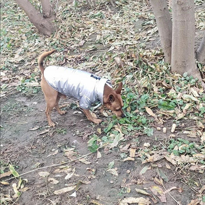 Puppy Pet Dog Clothes Outdoor Windproof Waterproof Leather Dog Coat Winter Warm Padded Jacket for Dogs and Cats in Cold Weather