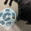 Dog Puzzle Toys Slow Food Dispenser Feeding Interactive Plate Bowl Non-Slip Anti-choking Increase IQ Cat Dogs Training Games
