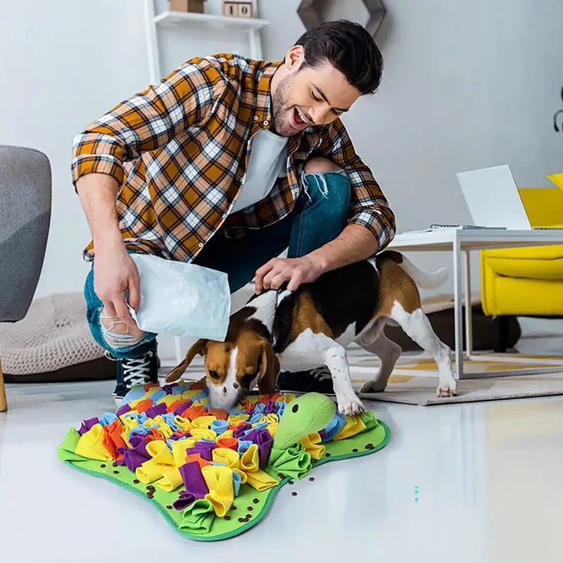 Pet Snuffle Mat Dog Foraging Mats in Turtle Shape Enrichment Toys Puppy Dog Feeding Mat  Treat Dispenser Slow Feeding Blanket