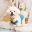Dog Coat with Harness Winter Dog Clothes Chihuahua French Bulldog Clothing Thin Jacket Fleece Jumpsuit Dog Costumes Puppy Coat