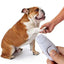 2 In 1 Pet Clicker Dog Training Whistle Answer Card Pet Dog Trainer Assistive Guide With Key Ring Dog Pet Cat Pet Supplies
