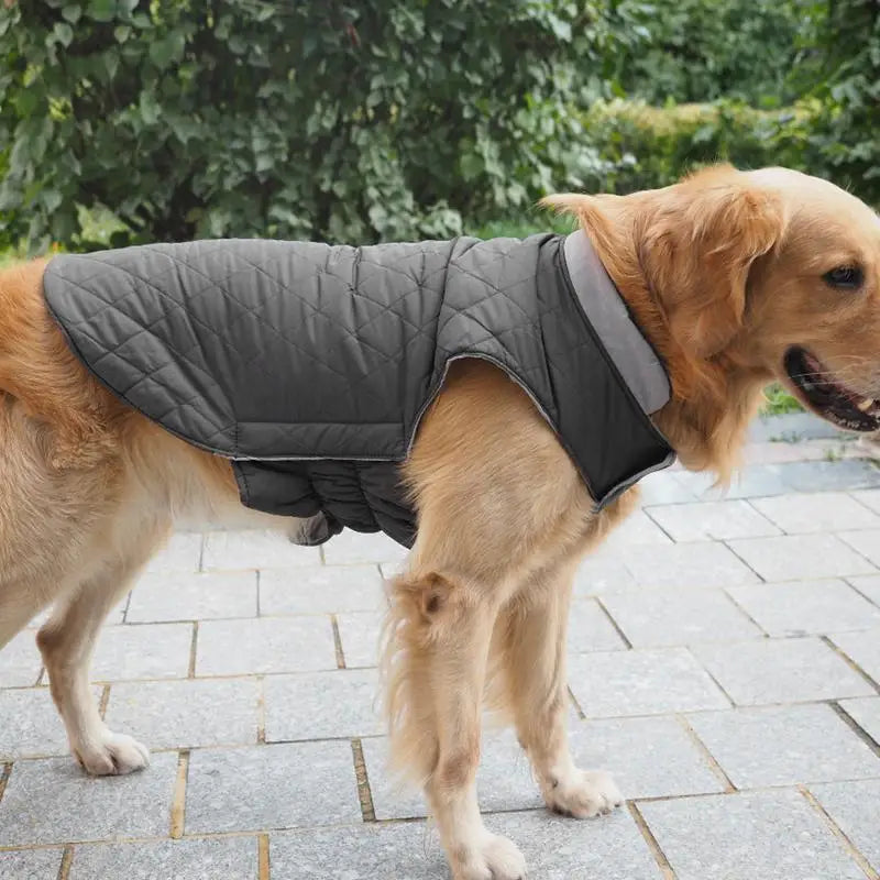 Warm Dog Pullover Waterproof Pullover Reflective Dog Coat Large Dog Warm Keeping Apparel For Cold Days For Camping Courtyard