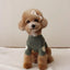 Autumn Winter Fashion Dog Vest Dog Warm Clothes Thin Dog Hoodies  Pet Coat Chihuahua Bichon Small Dog Costume Fleece Dog Pajamas