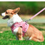 Dog Harness Dog Traction Rope Corduroy Breathable Dog Chest Strap Reflective Pet Chest Strap Walking Rope Set