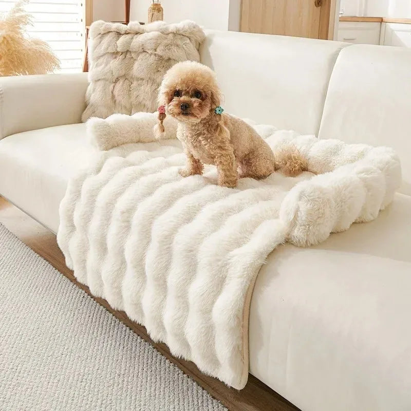 Pet Accessories Dog Bed Small Dog Baskets Puppy Breeds Dogs Medium Bedding Pets Products Large Bad Mat Cushions Beds Big Cushion