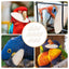 Natural Cuddle Bone Parrot Chew Toys Chewing Cuttlefish Bone Bird Cuttlebone Environmental Protective Toy