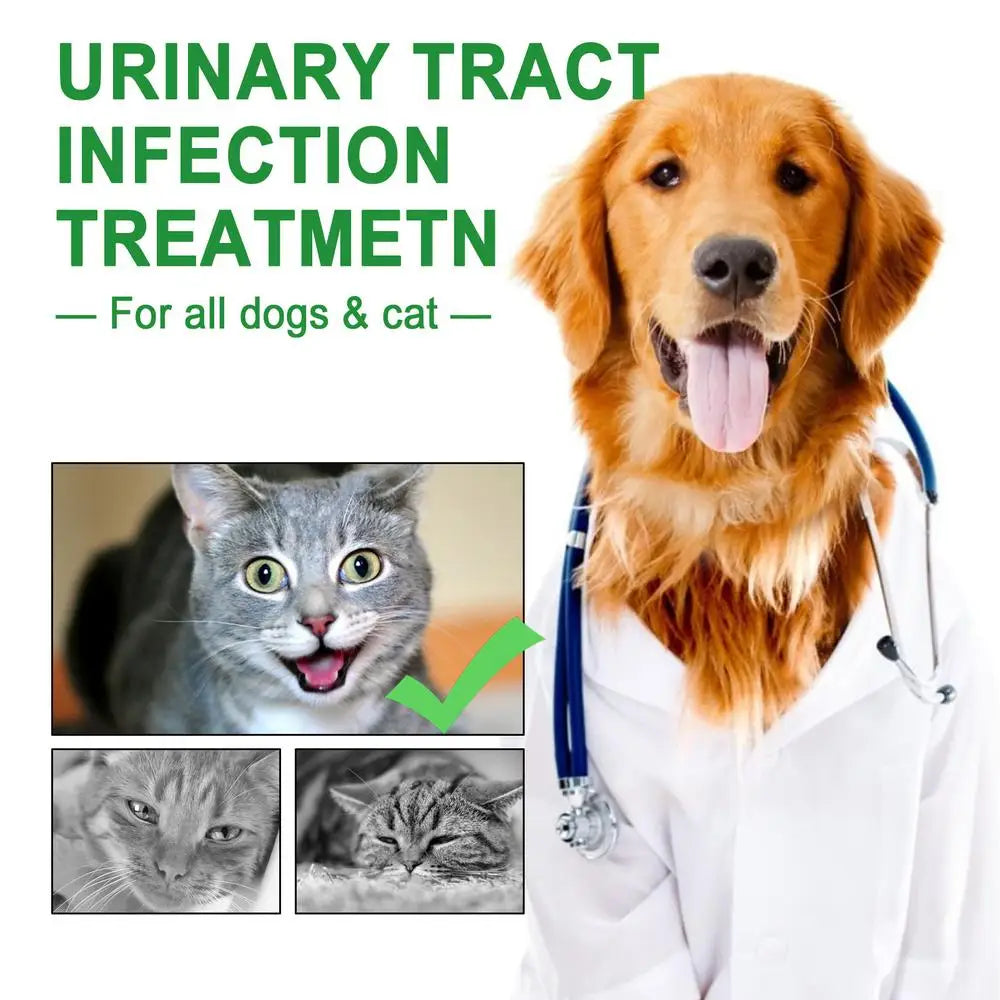 Powerful Cat Bladder Drops 60ml For Urinary Tract Care Powerful Bladder Stone Remover Promote Kidney Health Pet Health Care