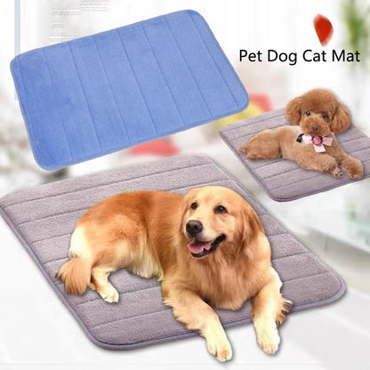 Thickened  Pet Dog Mat Breathable Bite Resistant Dog Cat Sleeping Pad Washable Reusable Training Pad Dog Car Seat Four Seasons