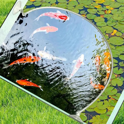Floating Plant Corral Fish Feeding Ring Separates & Protects Floating Plants Feeding Ring Improve Water Quality Aquarium Filter