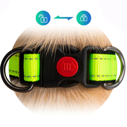 Adjustable Dog Collar Comfortable Soft Foam Padded Reflective Nylon Dog Collar with Double D Rings for Small Medium Large Dogs