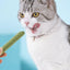 Cat Grass Stick Cat Grass Chewing Stick Natural Teeth Cleaner Removal Row Kitten Pet Snacks Teeth Caring for Kitten Mouth Health