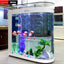 Small and medium-sized ultra-white glass hot bending tank bullet large screen ecological goldfish tank aquarium