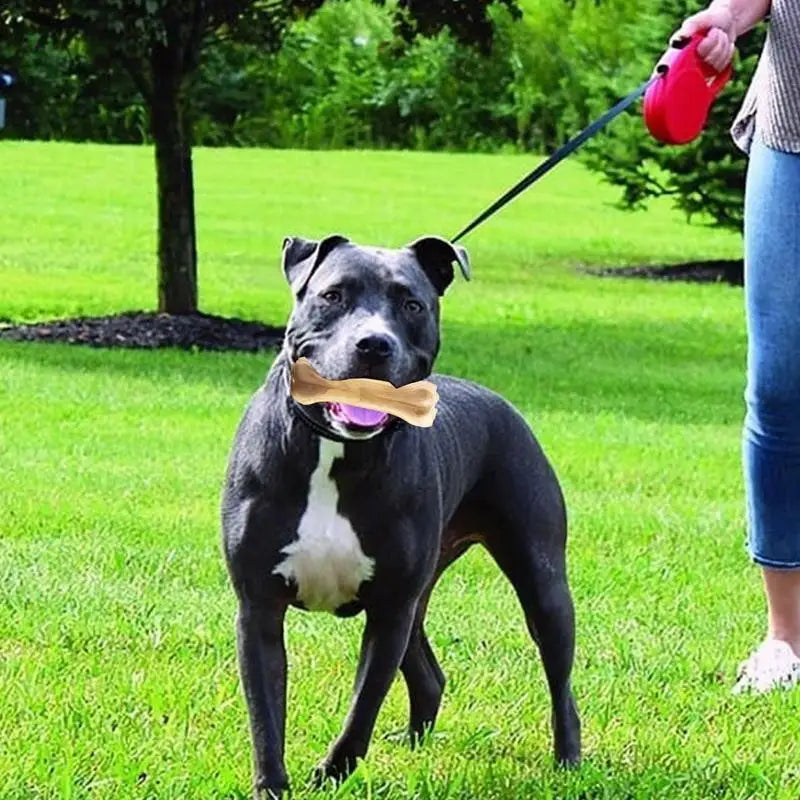 Dog Chew Bone Toy Pet Teething Chew Bone Sturdy Toys Bite-resistant Beef Flavor Puppy Chewing Sticks For Teething Clean Tool