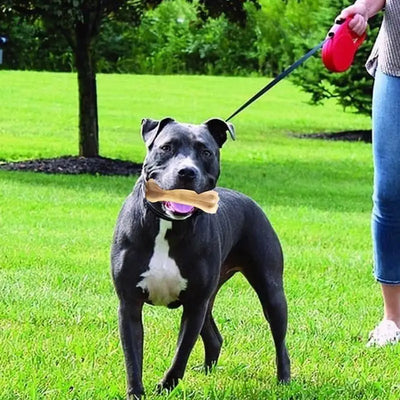 Dog Chew Bone Toy Pet Teething Chew Bone Sturdy Toys Bite-resistant Beef Flavor Puppy Chewing Sticks For Teething Clean Tool