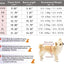 Dog Autumn/Winter Sweatshirt Colorful Thickened Soft And Warm Pet Pullover Clothes Classic Fashion Jacket For Cats And Dogs
