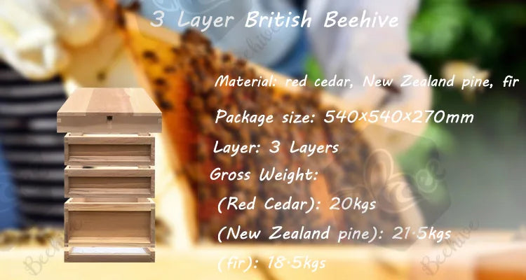 Wholesale 8 10 Frame 3 Layer New Zealand Pine red cedar Fir Wooden UK English British National Beehive Bee Hive with Metal Roof