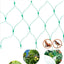 Garden Netting Green Woven Mesh Protect Plants Fruits Flowers Trees Stretch Fencing Durable Net Stops Birds Deer Animals
