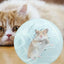 Hamster Exercise Balls With Traction Rope Transparent Hamster Running Ball Wheel Safe Hamster Exercise Balls Pet Supplies