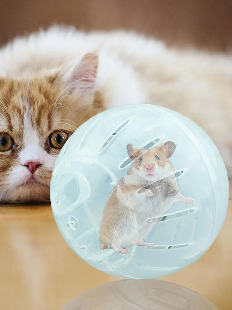 Hamster Exercise Balls With Traction Rope Transparent Hamster Running Ball Wheel Safe Hamster Exercise Balls Pet Supplies