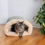 Pet Supplies Goods for Cats Accessory Houses and Habitats Cushions House Accessories Basket Dog Bed Puppy Things Mat Products