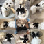 Dog Princess Dress Summer Dog Clothes for Small Dogs Pet T-Shirt Black Lace Retro Puppy Skirt Chihuahua Bichon Girls Dog Costume