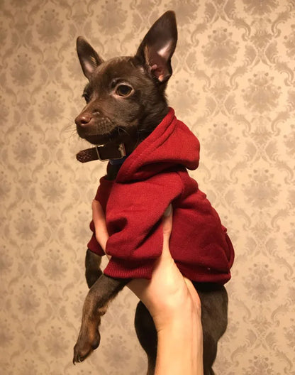 Winter Pet Doggy Clothing Leisure Small Dogs Hoodies Coat for Puppy Soft Warm Cat Dog Sweater Sweatshirt Teddy Chihuahua Clothes