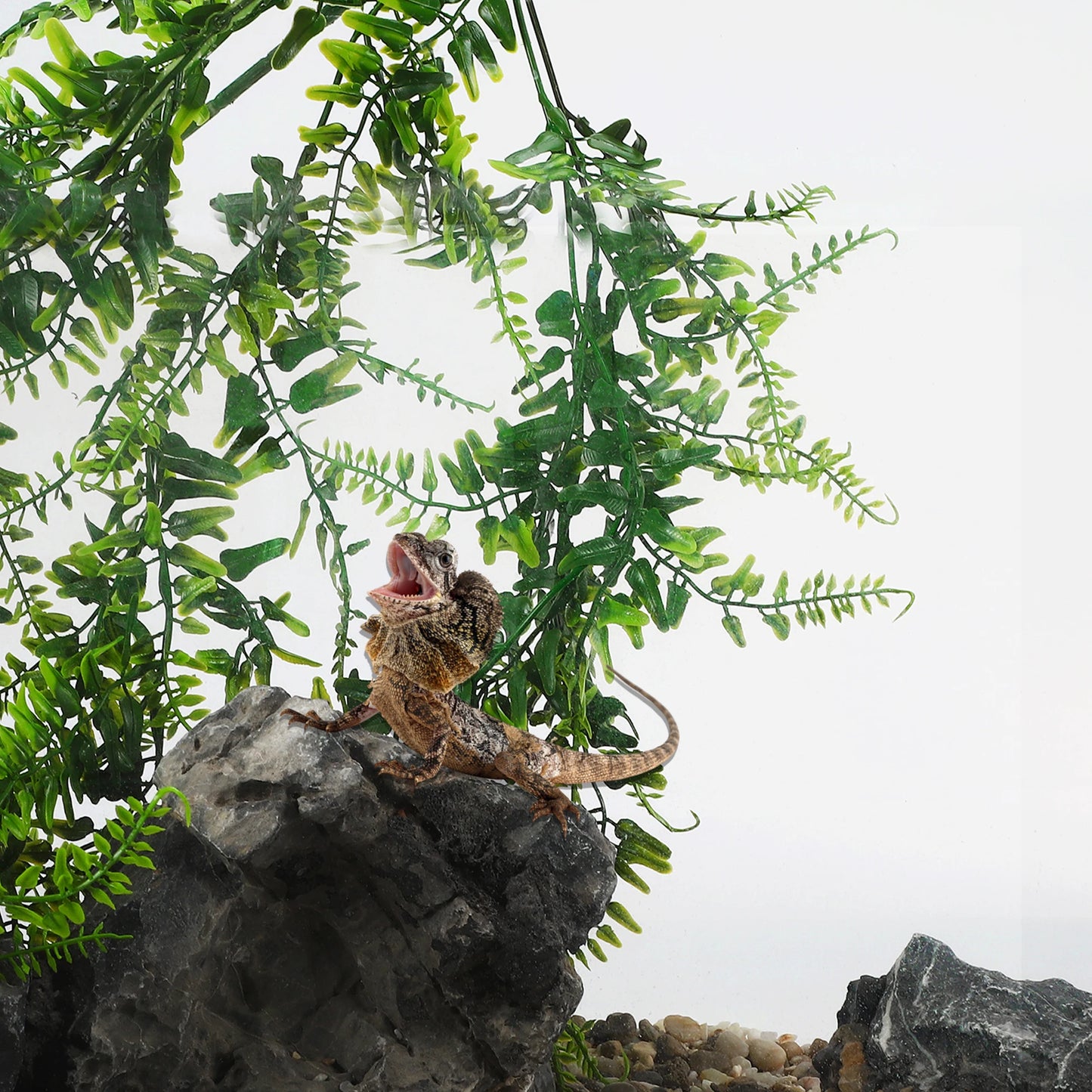 UXCELL Artificial Terrarium Reptile Plants Plastic Leaf Vines for for Tank Pet Habitat Decorations Amphibian Lizard Snack
