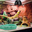 Luminous Water Bowl Reptile Feeding Dish Amphipod Turtle Feeder Pet Supplies Reptiles Incubator Shine Leopard Print
