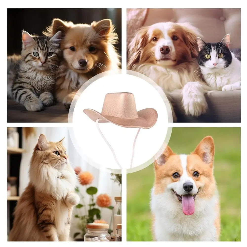 Pet Cowboy Hat Pet Hat Halloween Kitten Hat Shiny Cowboy Hats Small Cowboy Hat Dog Costume Cat Hat Cosplay Prop Western Cowboy