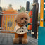 British Style Dog Winter Clothes Pet Clothes for Small Medium Dogs Teddy Chihuahua Puppy Pet Teddy Bib Windbreaker Cloak