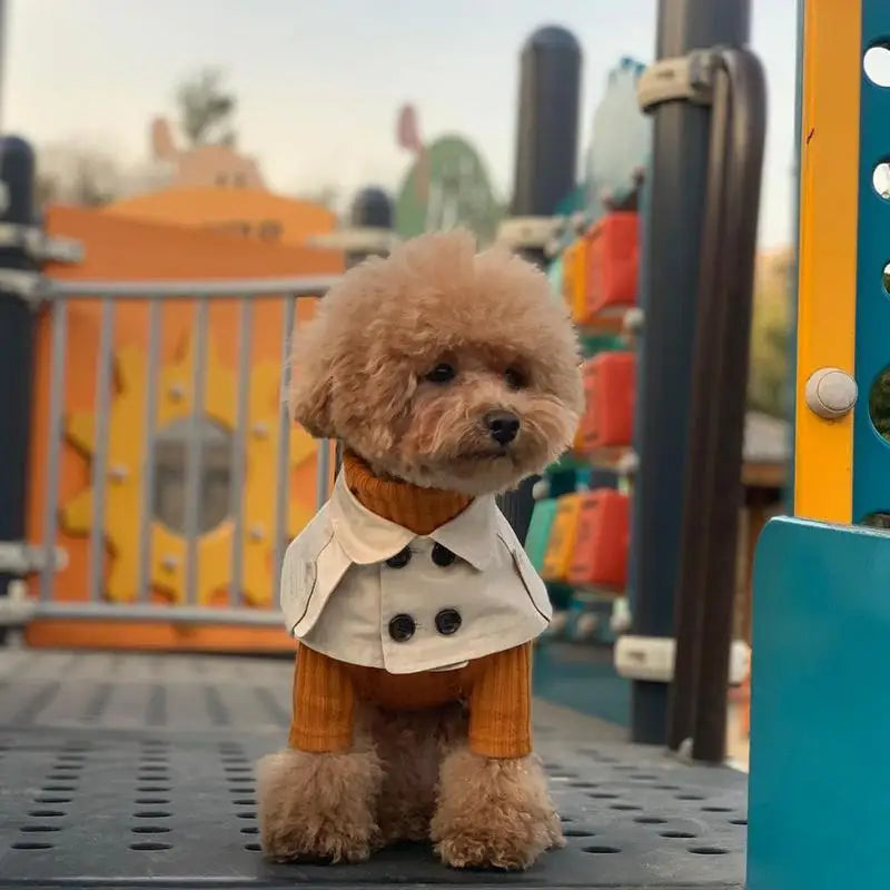 British Style Dog Winter Clothes Pet Clothes for Small Medium Dogs Teddy Chihuahua Puppy Pet Teddy Bib Windbreaker Cloak