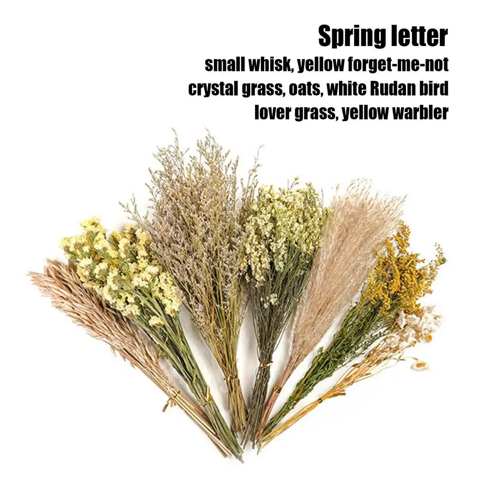 Flower And Plant Bedding Natural Hamster Bedding Hamster Deodorizing Bedding Small Animal Deodorant Product Landscaping Supplies